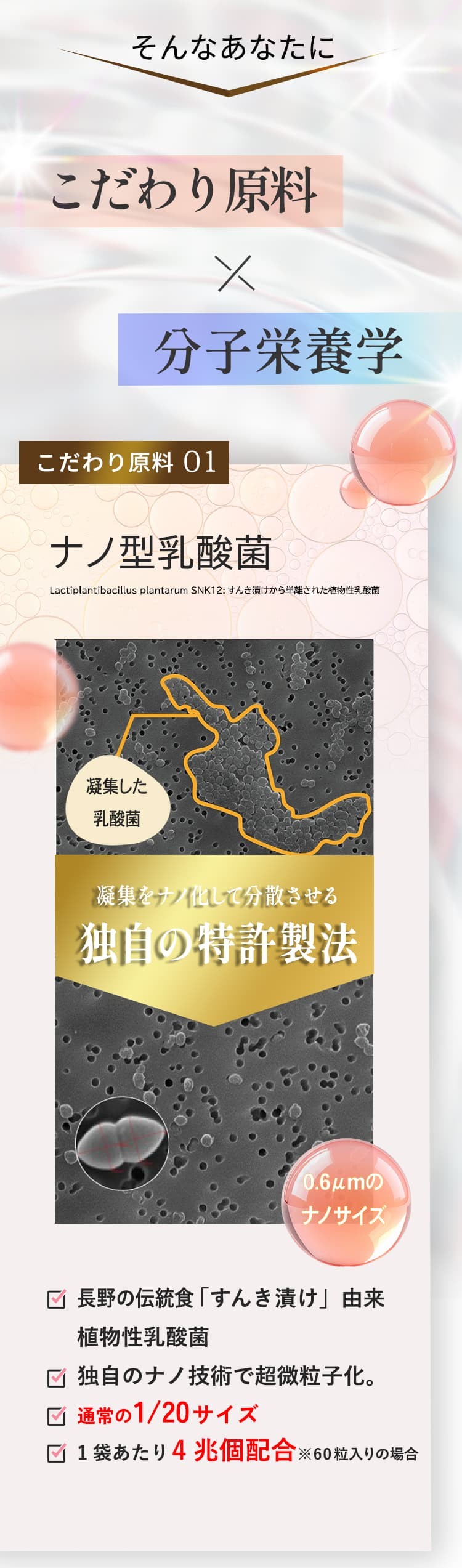 こだわり原料01 ナノ型乳酸菌
