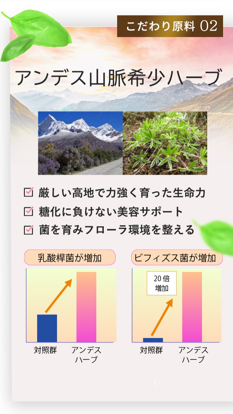 こだわり原料02 ミスカミスカ