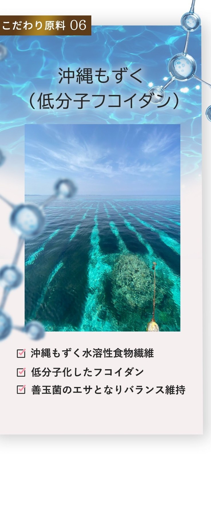 こだわり原料06 沖縄もずく（低分子フコイダン）