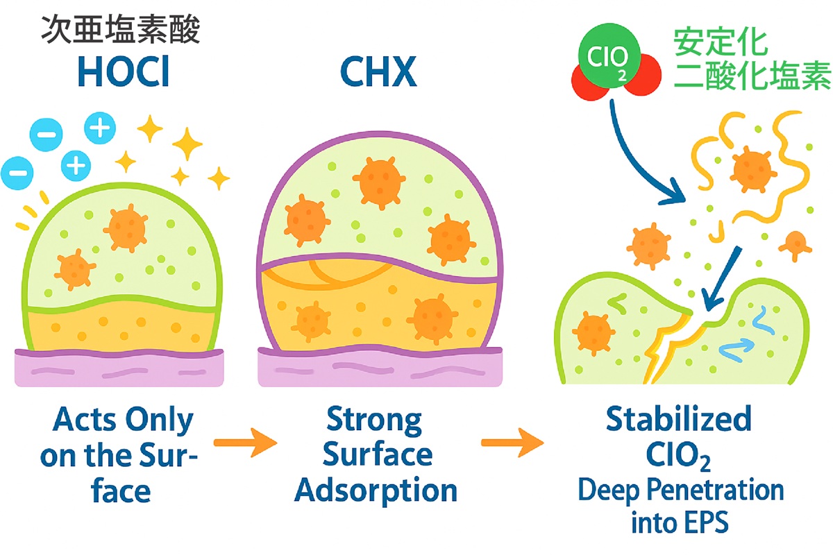 バイオフィルムが破壊されるメカニズム図