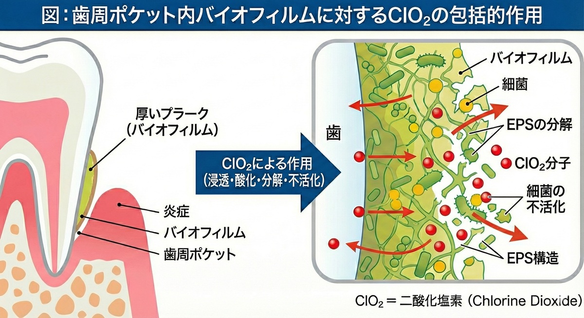 図④ Before / After イメージ