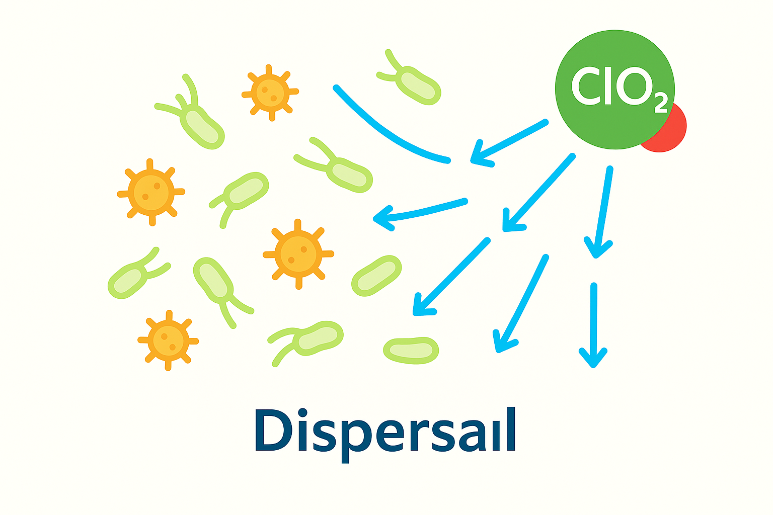 カンジダを洗浄するイメージ図